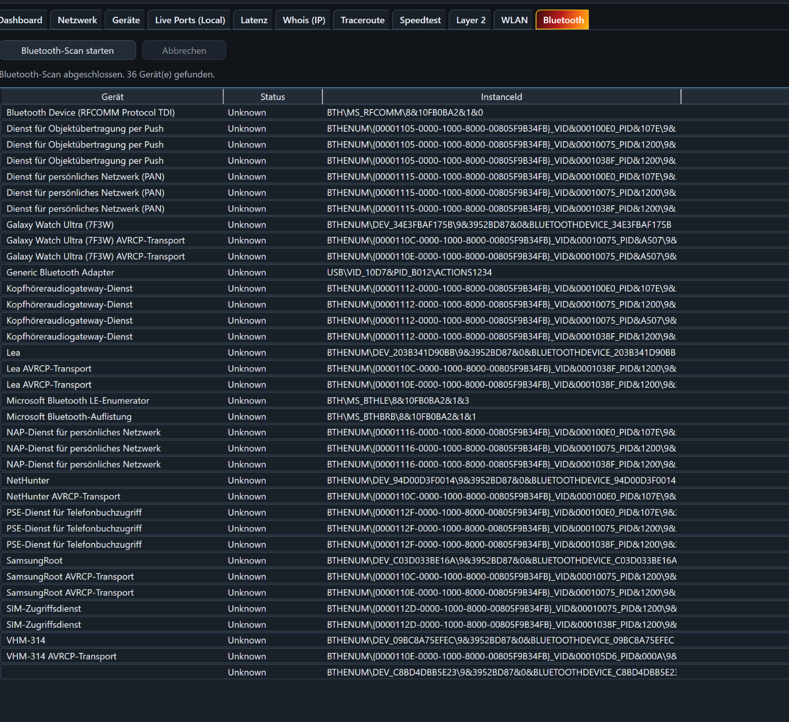 Screenshot von Destroyer-Security Scanner
